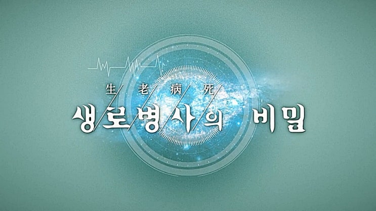 채소, 과일 껍질의 파이토케미컬과 전체식의 주의사항 채소, 과일 껍질의 파이토케미컬과 전체식의 주의사항