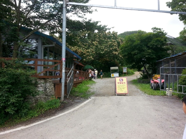  [수우원]파주 유기농 블루베리 교육농장