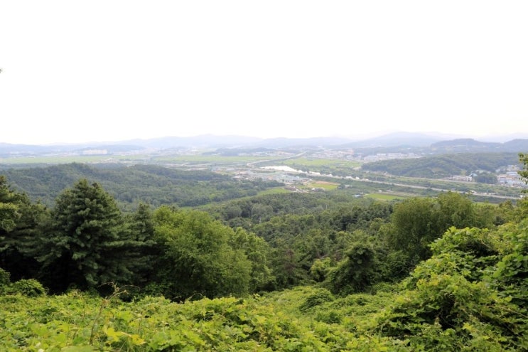  오산 독산성 출사 나가서  운동 제대로 하고 왔네요. 