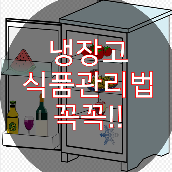  냉장고식품관리법 꼭꼭!!