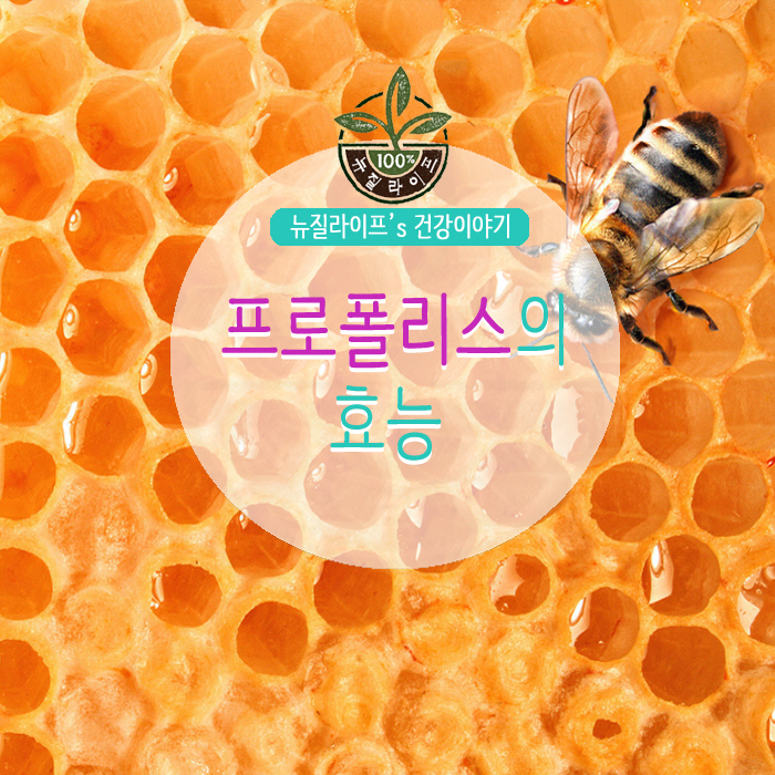프로폴리스의 이점을 찾는 방법 6