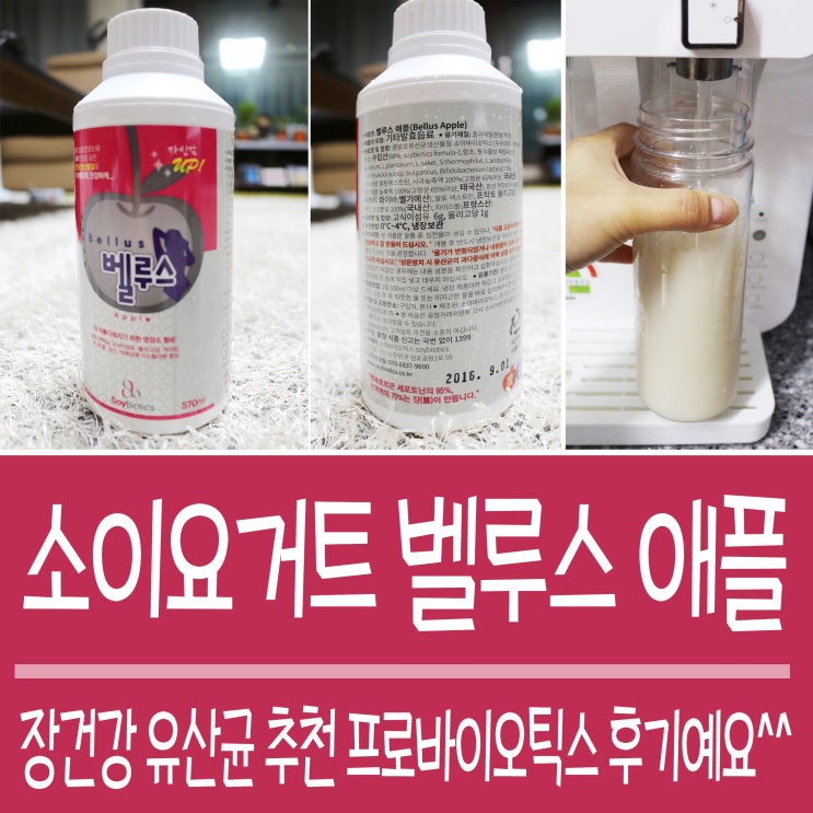  장건강 유산균 추천 소이요거트 벨루스 애플 김치유산균 후기예요