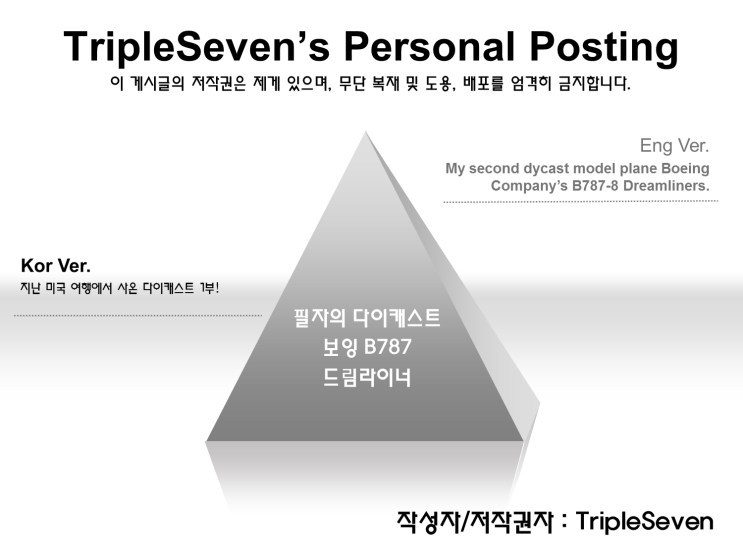  [TripleSeven/다이캐스트] 보잉 B787-8 드림라이너 1/200.