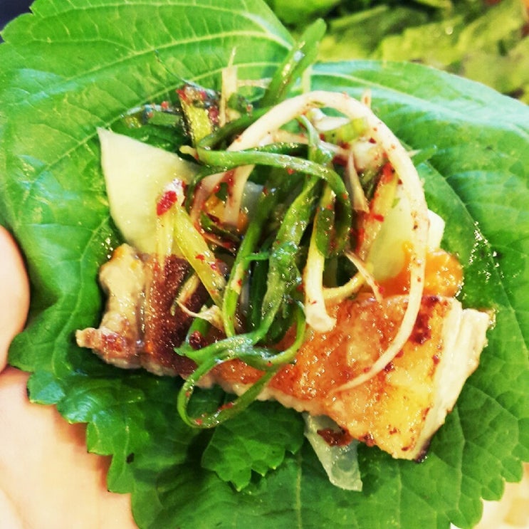 [신림 맛집] 삼겹살+감자탕 무한리필 꽃마차 먹방!