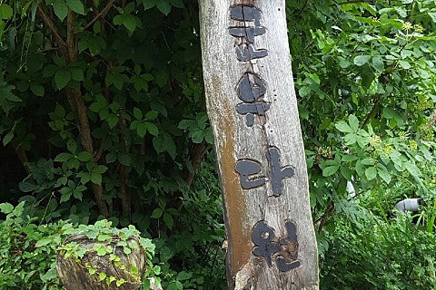 군유다원 이미지