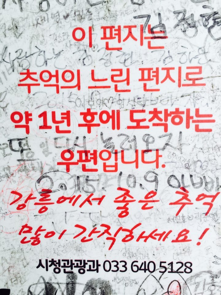  강릉게스트하우스/경포대게스트하우스/후아유게스트하우스/게스트하우스파티/스텝일상/강릉날씨/실시간강릉날씨/내일로/스텝일상