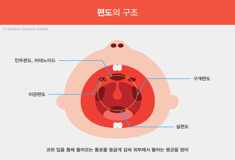 [다복 안녕] 유아 편도, 아데노이드 수술 - 입원 그리고 수술까지 기록(5세, 52개월)