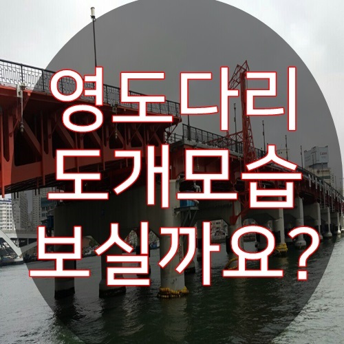  영도다리도개시간 아세요?
