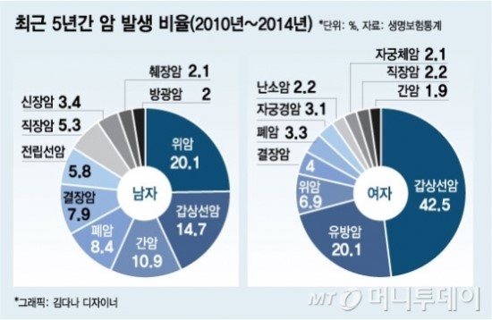 '약관논란' 암보험금 덜 주고도 쉬쉬한 보험사 - 암보험 지급기준 놓고 금감원도 혼선.소급적용시 보험금 지급액 눈덩이될듯 