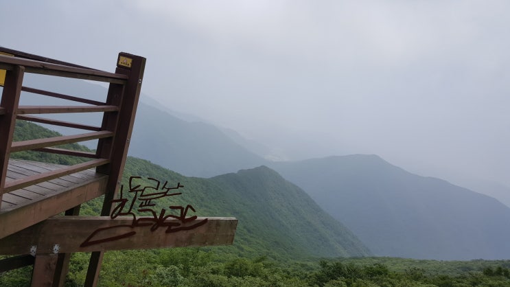 [가족여행] 1박 2일 해남여행 그리고 진도 보령 다녀왔습니다.