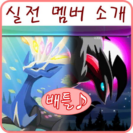  포켓몬스터 6세대 실전 포켓몬 육성 리스트
