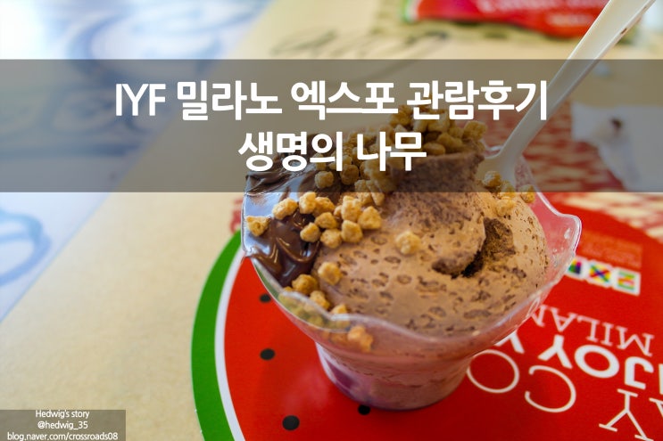  밀라노 자유여행 이탈리아 밀라노 엑스포 Expo