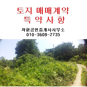  토지 매매계약시 특약사항 모음