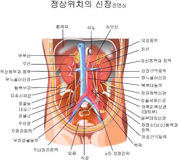 신장질환 이상 징후 10가지