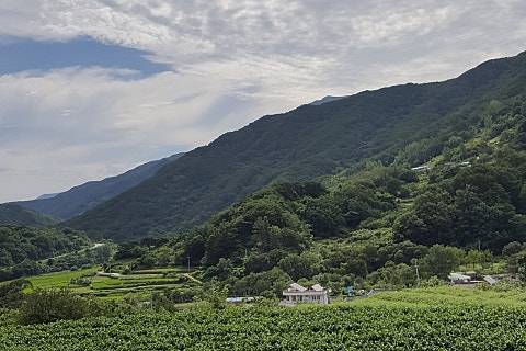산모음민박 이미지