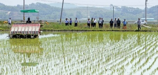 [시선집중] 농작물 자연재해, 정부 지원 정책보험상품으로 걱정 더세요