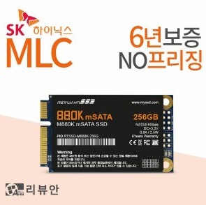  리뷰안 880K mSATA 256GB