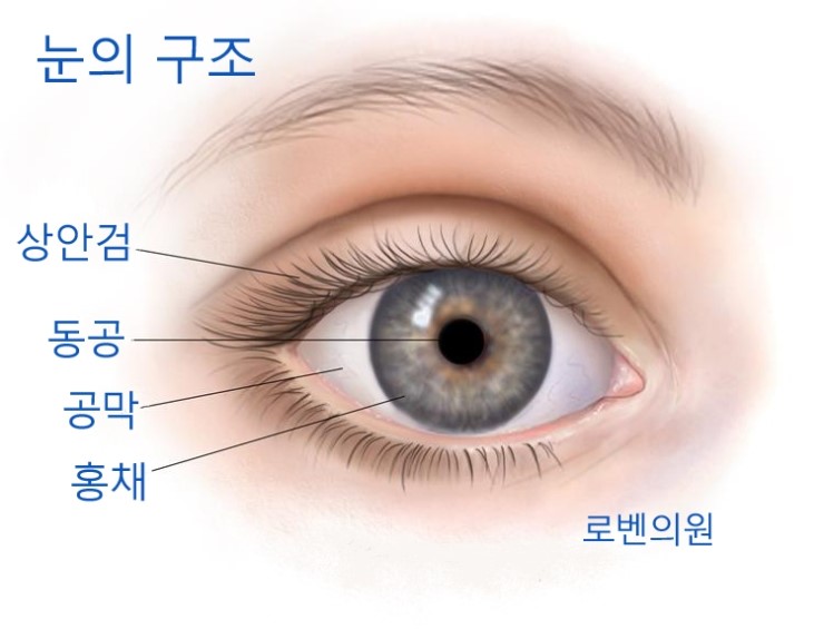 22/08/04 (목) 안구건조증 안구통치료의 서광? 7