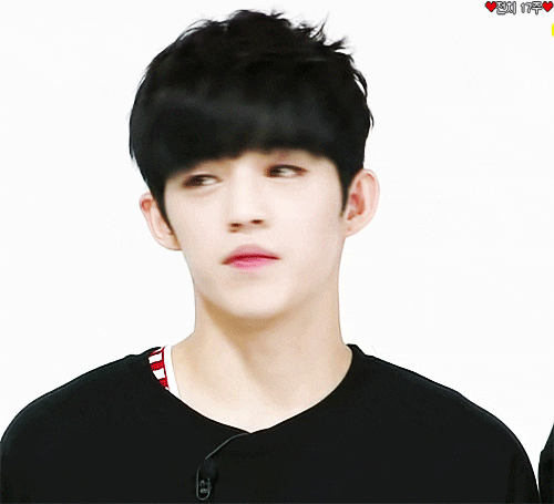 SEVENTEEN長篇兄妹代入文: 崔家三兄妹 00:序章