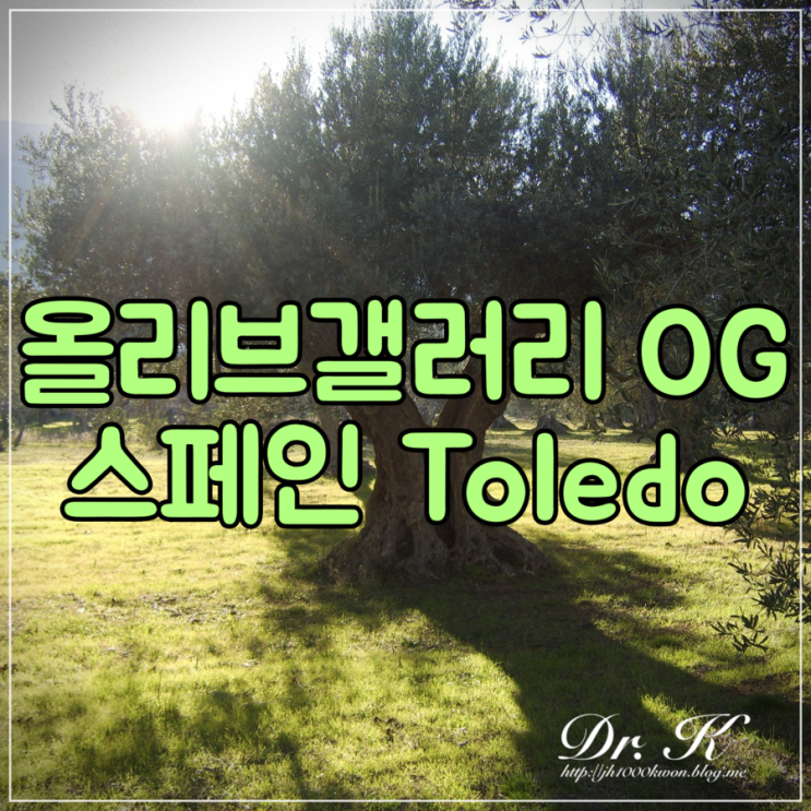  스페인여행 올리브오일 : 자연을 먹고 자연을 바른다