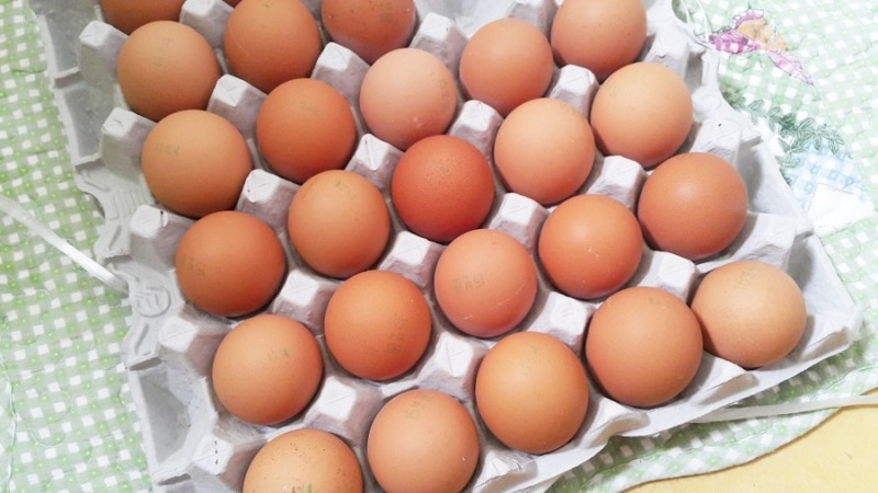 상한 계란 구별하고 신선한 보관법 체크해요! : 네이버 블로그