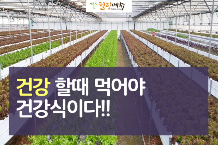  건강 식단 건강할 때 먹어야 예방된다?