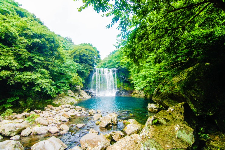  제주도 천제연폭포