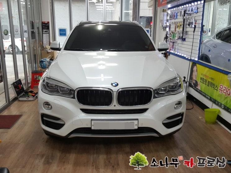  BMW X6 순정형 하이패스 보조배터리 퀀텀프로