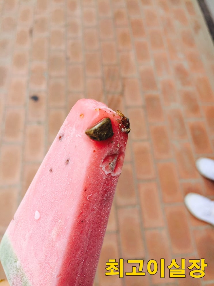 슬픈 수박아이스크림사진