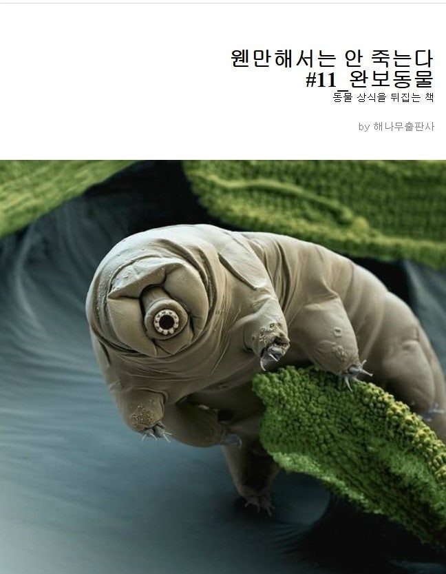 도대체 죽일 방법이 없다 완보동물