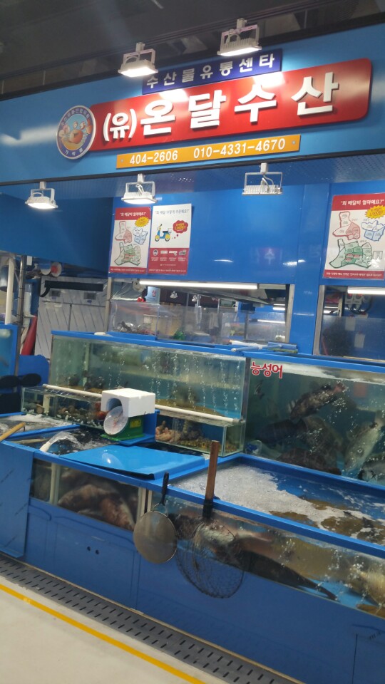  가락수산시장 모듬회 최강 온달수산