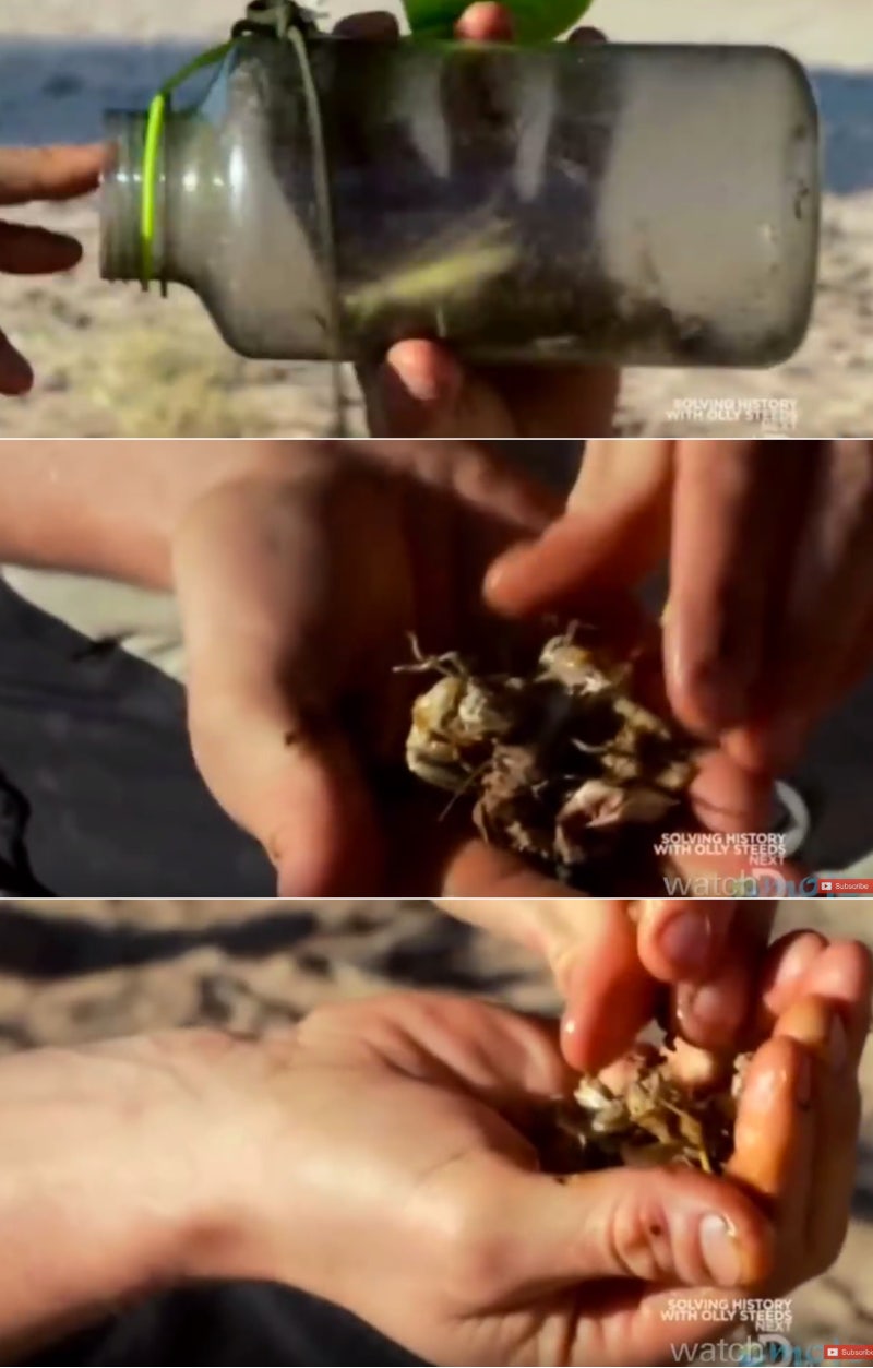 베어 그릴스의 극적인 10장면 - 비위가 약하면 생존하기 힘듬.. : 네이버 블로그, image size:800x1253