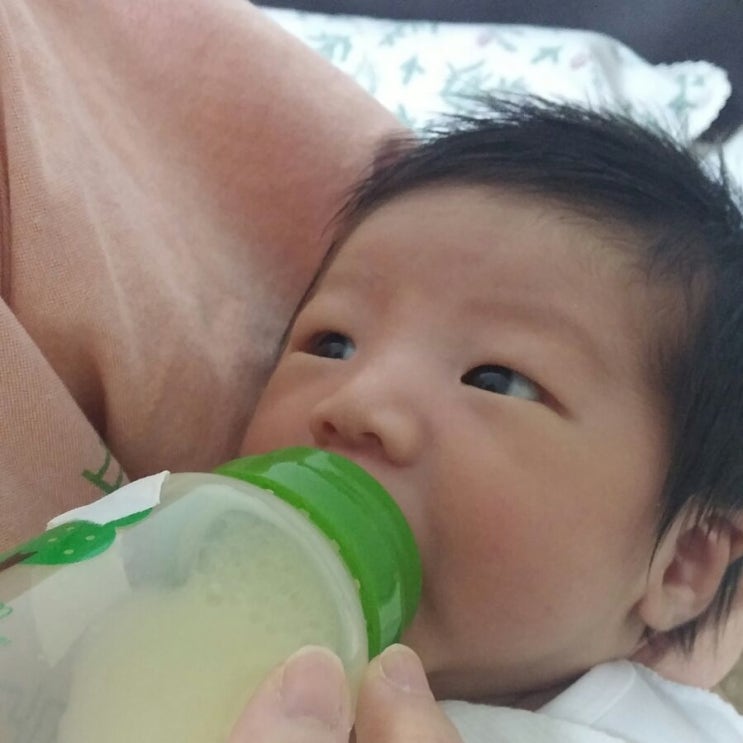  부지런히 먹는다. 부지런히 잔다.