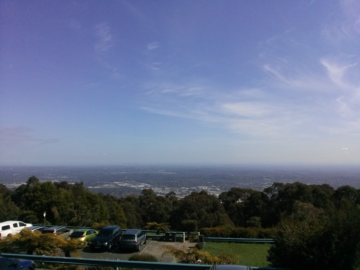 043. 단데농 마운틴 Mount Dandenong