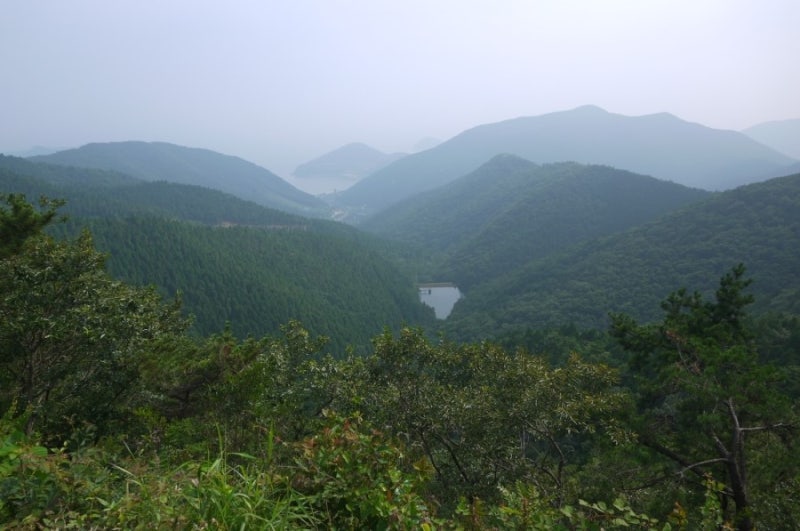 [먹사없] 비 내리던 남해 숲속의 하룻밤 - 남해편백자연휴양림
