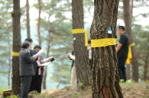 작은장례, 아름다운 이별을 위한 새로운 도전 - 비용절감, 고인 추모 위주의 새로운 장례문화 트랜드로 부상 작은장례, 아름다운 이별을 위한 새로운 도전 - 비용절감, 고인 추모 위주의 새로운 장례문화 트랜드로 부상