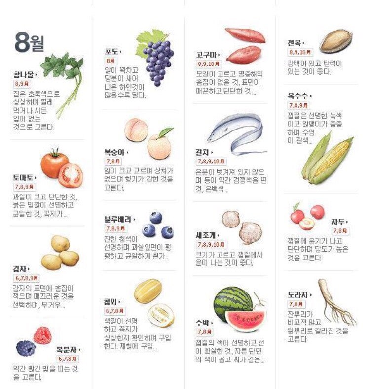 가리비찜질 찌는 시간 가리비 치즈구이 요리 가리비찜 가리비 해감 손질법 11월 제철 음식