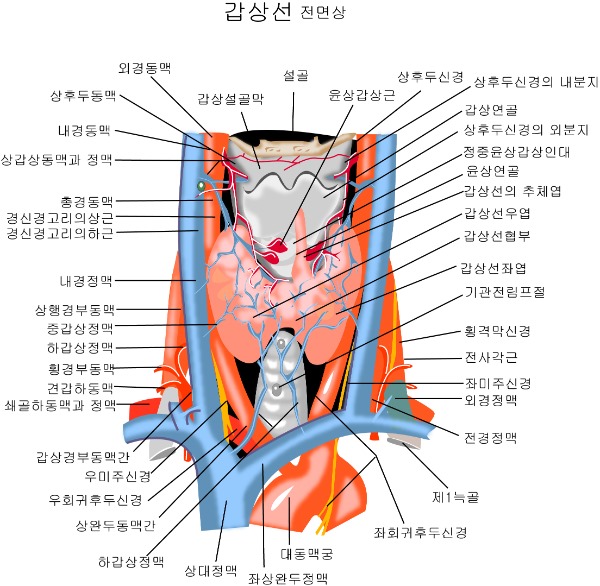 한국 암 2위, 여성 암 1위?