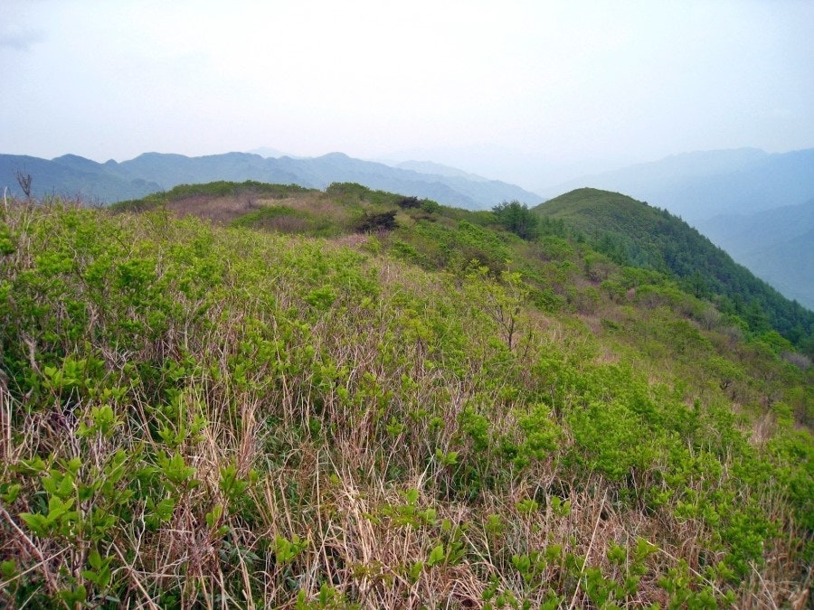불당골 사진 6