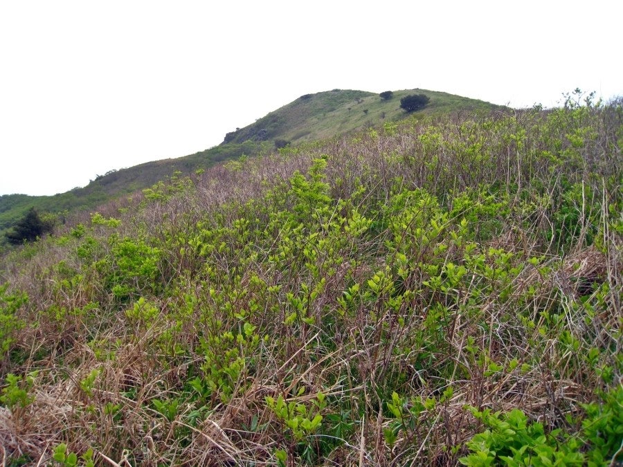 불당골 사진 5