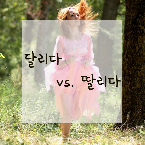  체력이 딸리다?'달리다'가 맞아요.