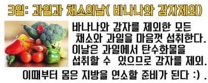 GM다이어트 3일차 GM다이어트 3일차