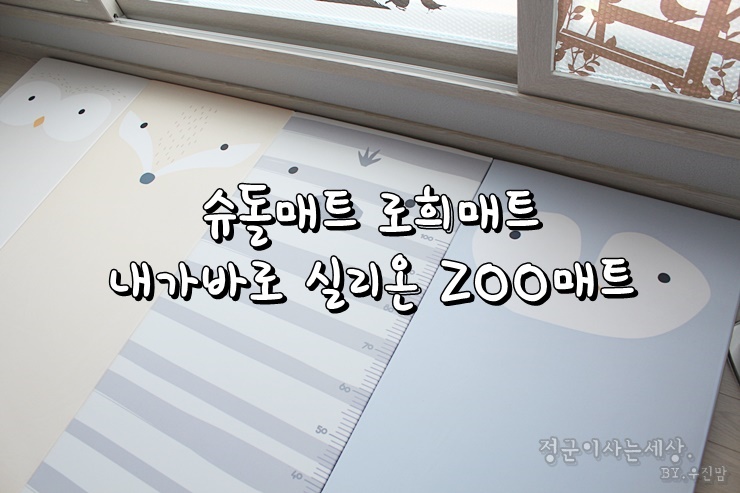 <b>슈돌</b>매트 로희매트 실리온 ZOO매트 우리집에도 신상이... 