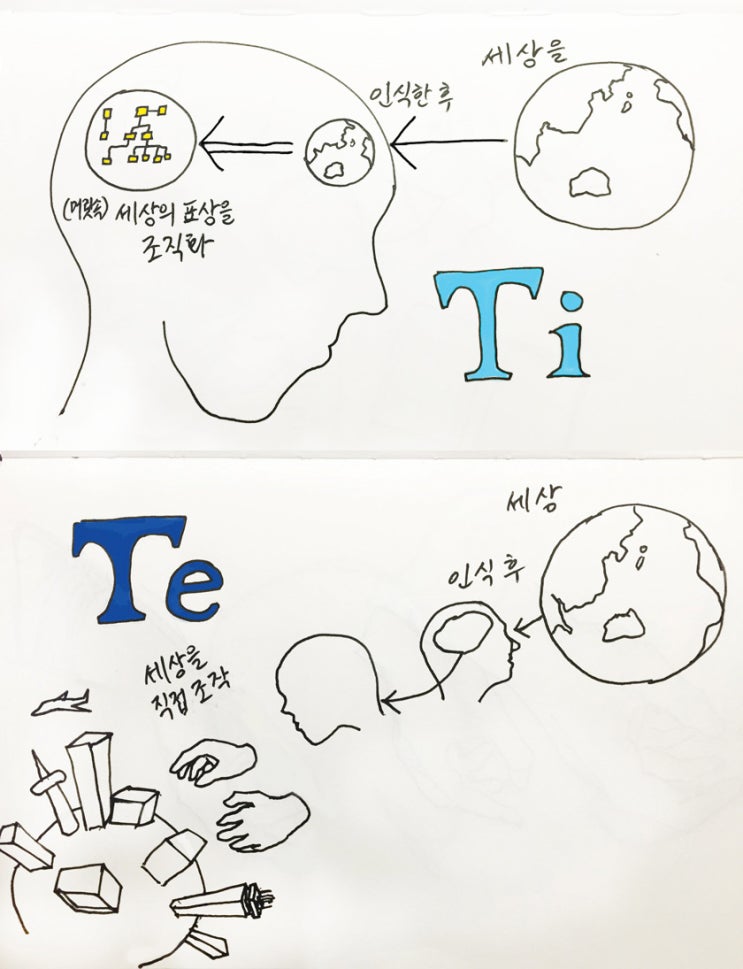  외향적 사고(Te)의 구체적모습은 어떠한가?