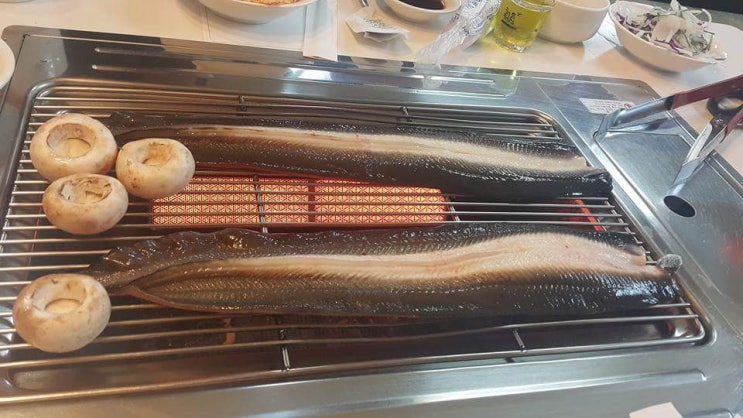  [강남맛집]역시몸보신엔 장어가최고다