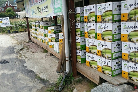 쌍둥이농원 이미지