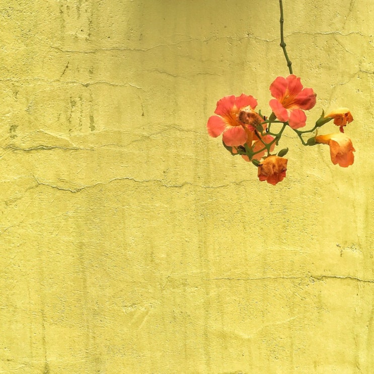 08.1 08.1