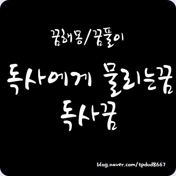 독사에게물리는꿈&뱀나오는꿈 역시 뱀은 후덜덜;;