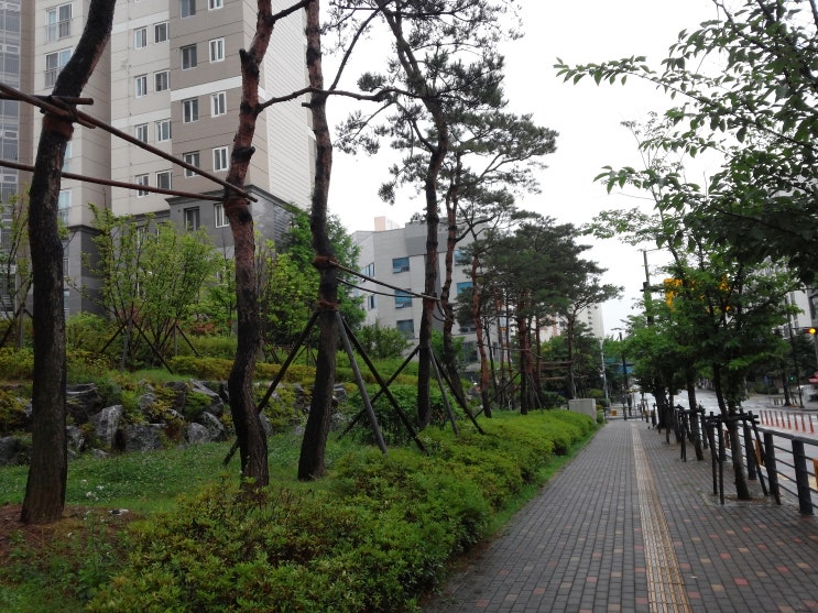 정명석 목사님의 생활속의 잠언