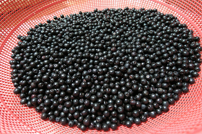 아로니아블루/엑기스만들기/DIY 12